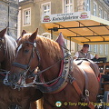 Bamberger Kutschfahrten - Horse and carriage rides in Bamberg