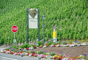 Bernkastel is on the Mosel wine route