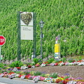 Bernkastel is on the Mosel wine route