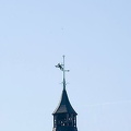 Cologne