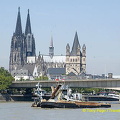Cologne