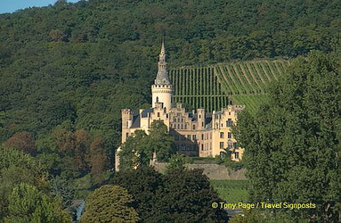Arenfels Castle and its beautiful vineyard setting