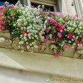 Old Town Hall window ledges with mythical animals