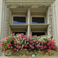 Old Town Hall window