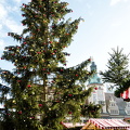 Leipzig Marktplatz Christmas Tree