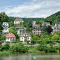 View of Heidelberg from the Neckar River