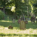 Jewish cemetery