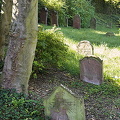 Jewish cemetery