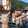 Miltenberg sights