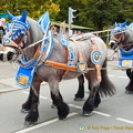 Hofbrau horse