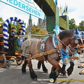 Hofbrau dray
