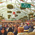 Back at the Hofbrau Oktoberfest tent