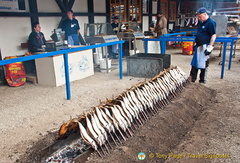 Neat rows of steckerlfisch being grilled