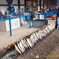Neat rows of steckerlfisch being grilled