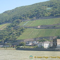 Assmannshausen near Rüdesheim
