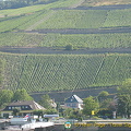 Assmannshausen, a famous red wine village