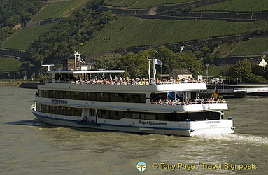 Bingen to Rudesheim river cruises