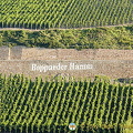 Vineyards at Bopparder Hamm
