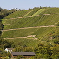 [Rhine Castles - Rhine River Cruise - Germany]
