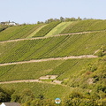 [Rhine Castles - Rhine River Cruise - Germany]