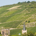 [Rhine Castles - Rhine River Cruise - Germany]