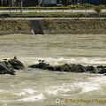 [Rhine Castles - Rhine River Cruise - Germany]