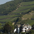 [Rhine Castles - Rhine River Cruise - Germany]