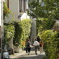 Rudesheim | Rhine River Cruise