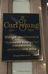Plaque commerating Carl Jung[Rudesheim - Rhine River Cruise - Germany]
