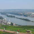 [Rudesheim - Rhine River Cruise - Germany]