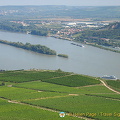 [Rudesheim - Rhine River Cruise - Germany]