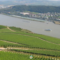 View of the Rhine vineyards from the Statue of Germania viewpoint