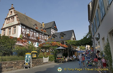 Rüdesheim - a charming wine town