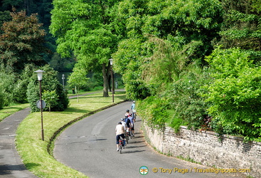 Cycling in the Moselle Valley