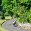 Cycling in the Moselle Valley