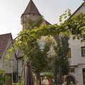[Wertheim - Main River Cruise - Germany]