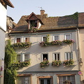 [Wertheim - Main River Cruise - Germany]