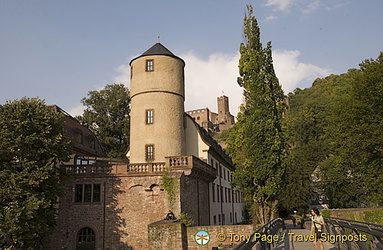 The white tower of a former princely court (Hofhaltung) now houses the town hall