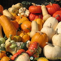Pumpkins at the Würzburg market