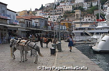 Donkeys waiting for passengers
[Hydra - Greece]