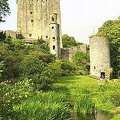 Blarney Castle - County Cork (2607 návštev) Battlemented keep and ruined towers Blarney Castle - County Cork