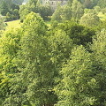 Blarney Castle and Gardens [County Cork - Ireland]