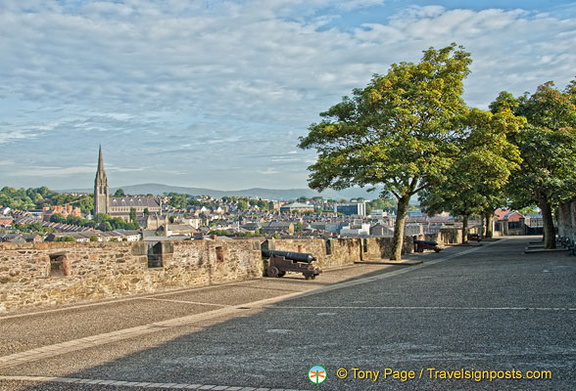 AJP 7931 (1448 visitas) AJP 7931