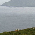 Ring of Kerry
