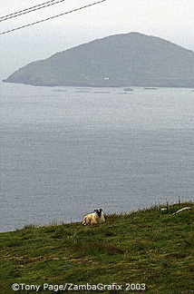 Ring of Kerry