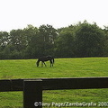 The National Stud