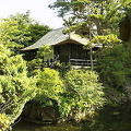 Tea House 