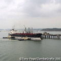 DSC_0704.jpg