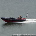 DSC_0708.jpg