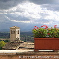 Geraniums flourish in this town, adding colour to its panoramic views of the Umbrian countryside